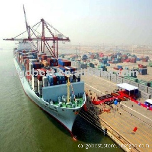 ocean shipment from shanghai to umm qasr